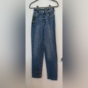 Wild Fable Studded Straight Leg Jeans